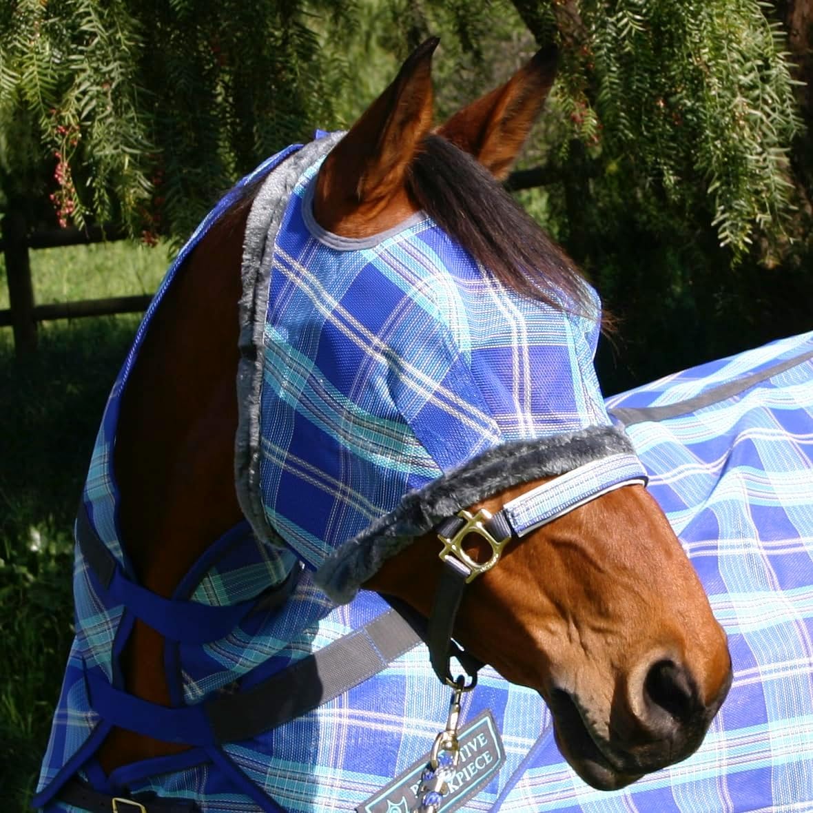 Kensington Fly Mask with Fleece Trim for Horses — Protects Face and Eyes Helps Block Sun Rays While
