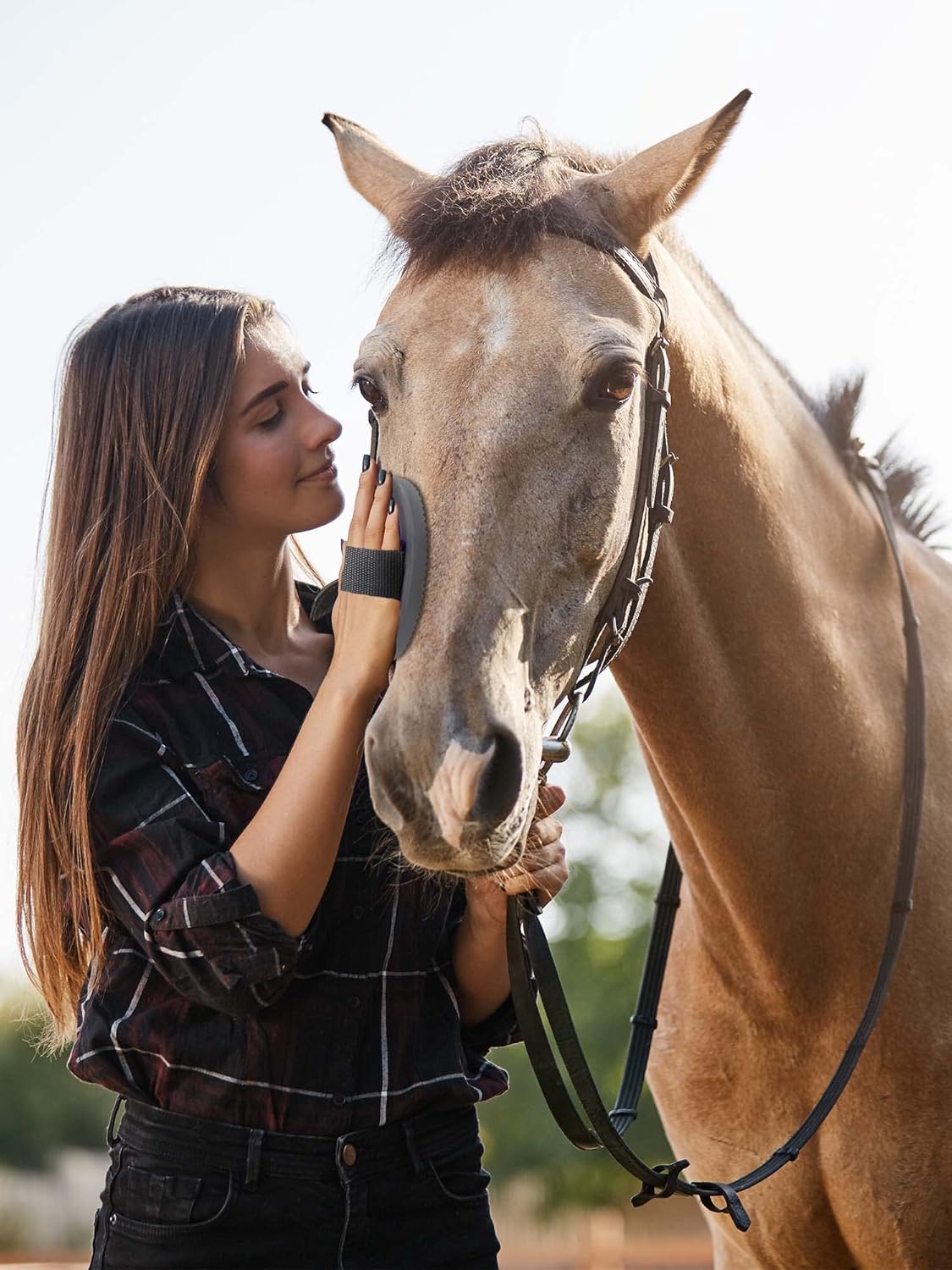 Horse Grooming Kit (12-Piece): Brushes, Storage Bag, Sweat Scraper, Mane Comb, Grooming Gloves