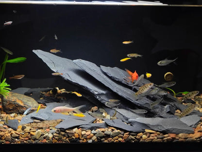 Natural Slate Stone Rocks 2 to 6 inch Aquariums Stone for Aquascaping,Terrariums,Reptile