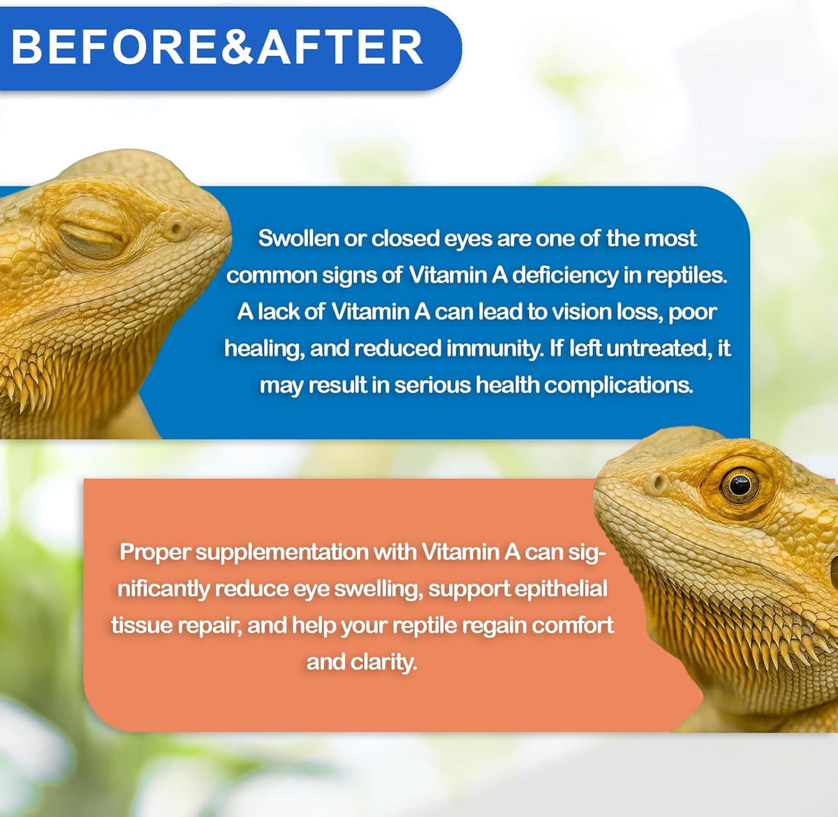 Reptile Vitamin A Supplement – Eye Health Support for Lizards, Turtles, Snakes & Amphibians