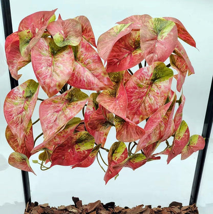 2 Pack Reptile Plants for Terrarium Decor, Amphibian Habitat Decor, Reptile Tank Accessories