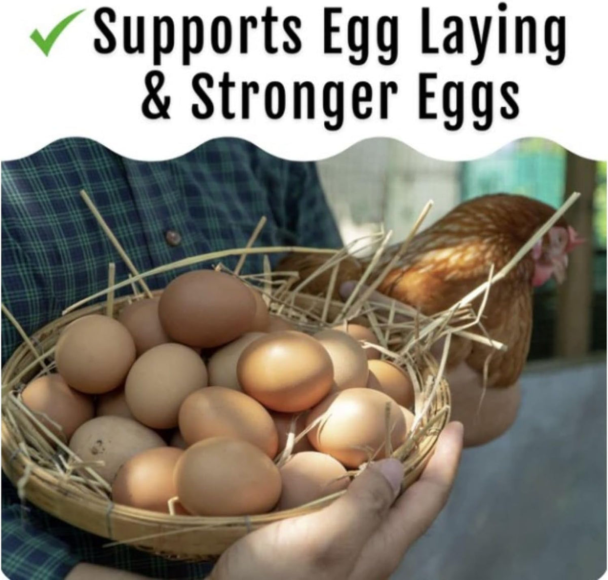 Grub Fuel Black Soldier Fly Larvae for Chickens - Nutrient Packed BSFL, Sustainably Sourced Snack