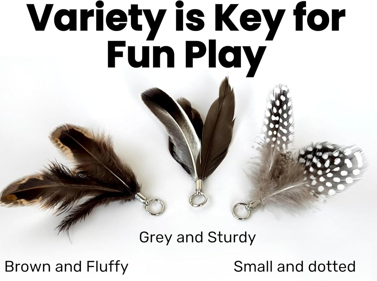 Feather Toys Replacements (3 Pc) - Cat Toys & Kitten Toys for Indoor Kittens, Set of Replacement