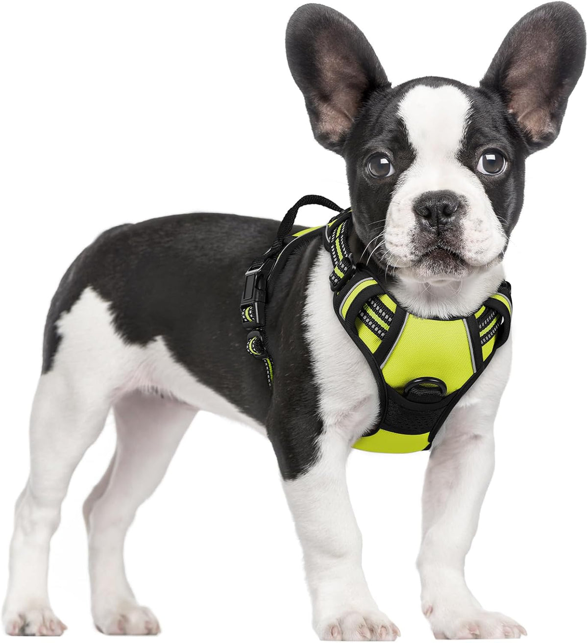rabbitgoo Dog Harness No Pull with 2 Leash Clips, Adjustable Soft Padded, Reflective Oxford No