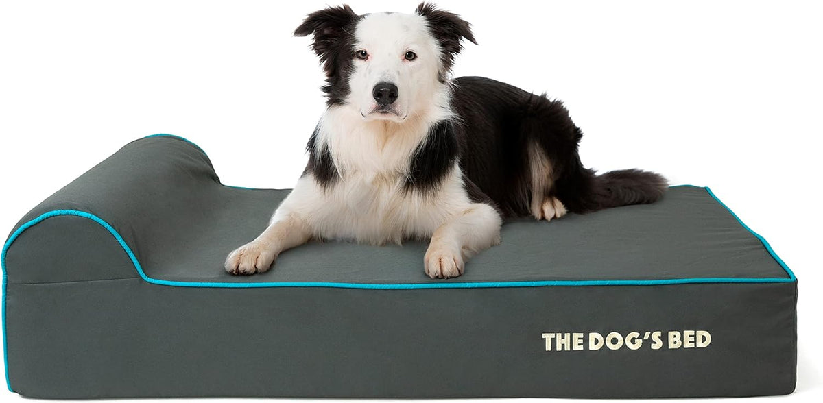 The Dog’s Bed Orthopedic Headrest Dog Bed Large Grey/Blue 40x25, Memory Foam, Pain Relief for
