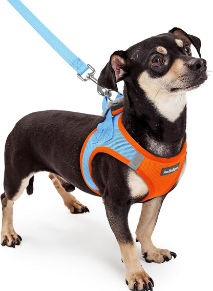 rabbitgoo Dog Harness Small Sized and Leash Set, Step in Soft Light Puppy Vest, Breathable Mesh Pet