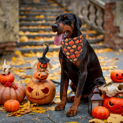 PTDECOR Halloween Dog Bandana, Skeleton Pumpkin Reversible Holiday Dog Scarf, Triangle Halloween
