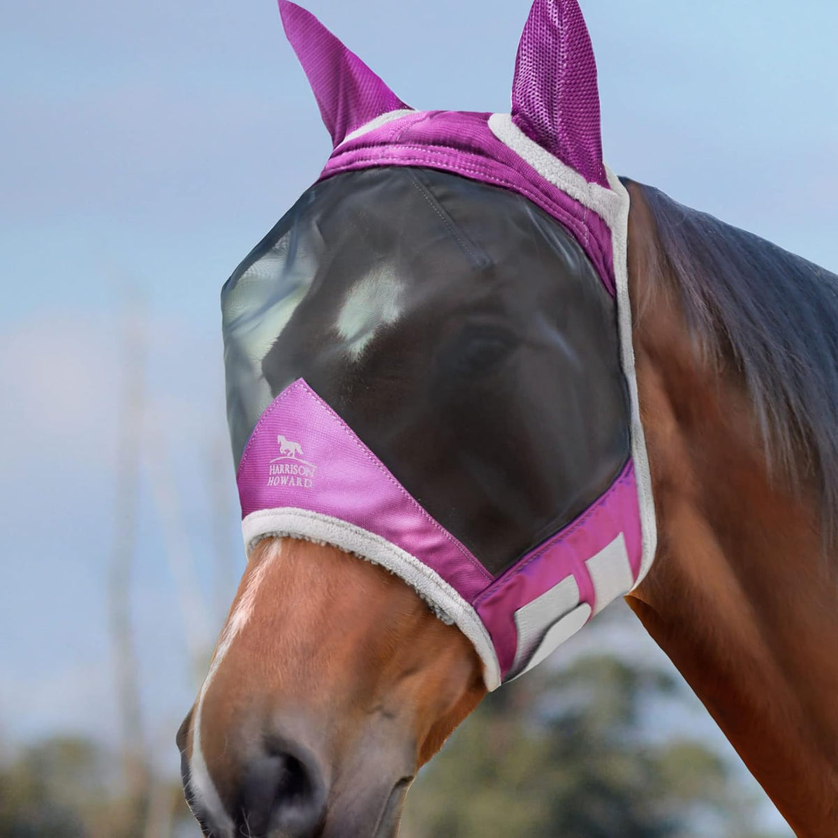 Harrison Howard CareMaster Pro Luminous Horse Fly Mask Large Eye Space Standard with Ears UV
