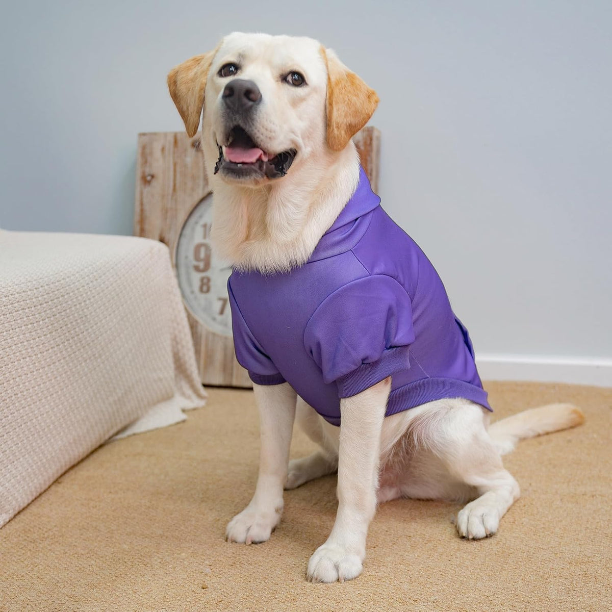 KOOLTAIL Basic Dog Hoodie - Soft & Warm Dog Hoodie Sweater with Leash Hole and Pocket, Dog Winter