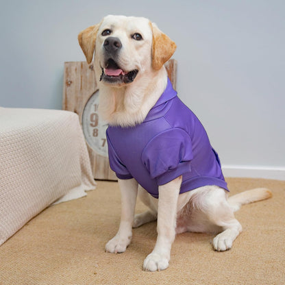 KOOLTAIL Basic Dog Hoodie - Soft & Warm Dog Hoodie Sweater with Leash Hole and Pocket, Dog Winter
