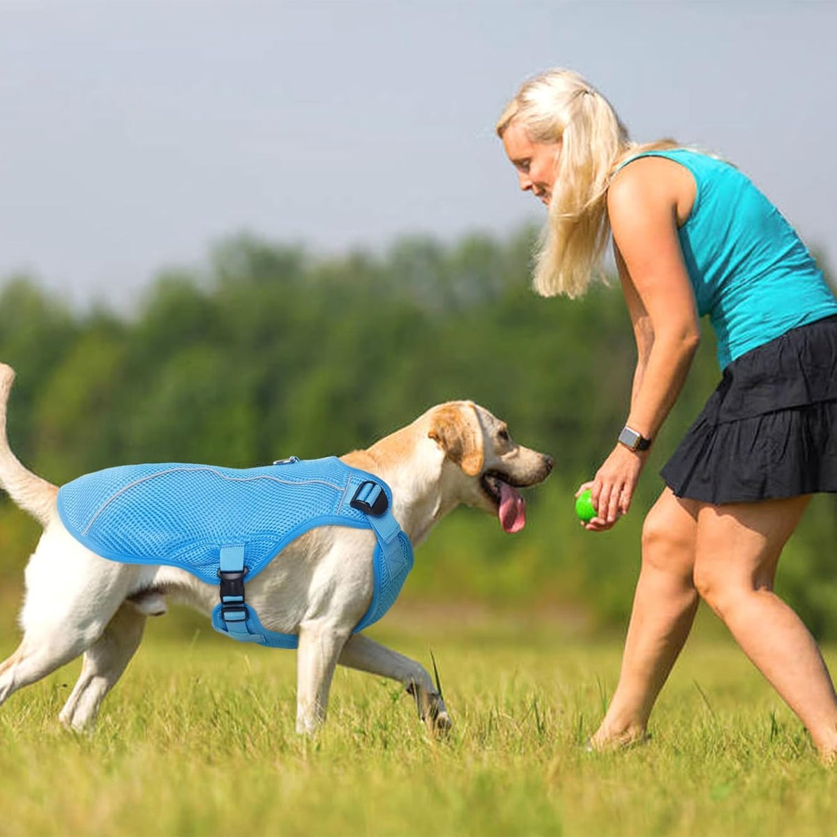 Kuoser Dog Cooling Vest Harness, Small Puppy Cooler Jacket with Adjustable Buckle for Outdoor