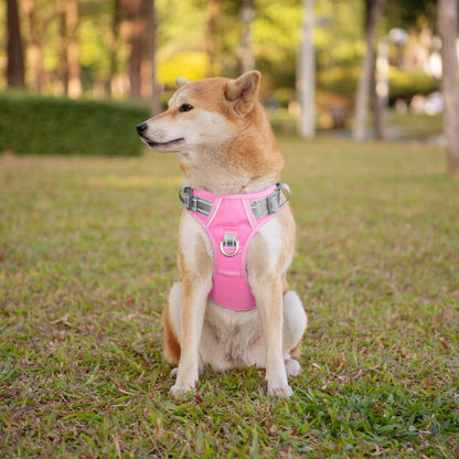 PHOEPET No Pull Dog Harness, Unique Colors Reflective Adjustable Dog Vest, with Soft Training