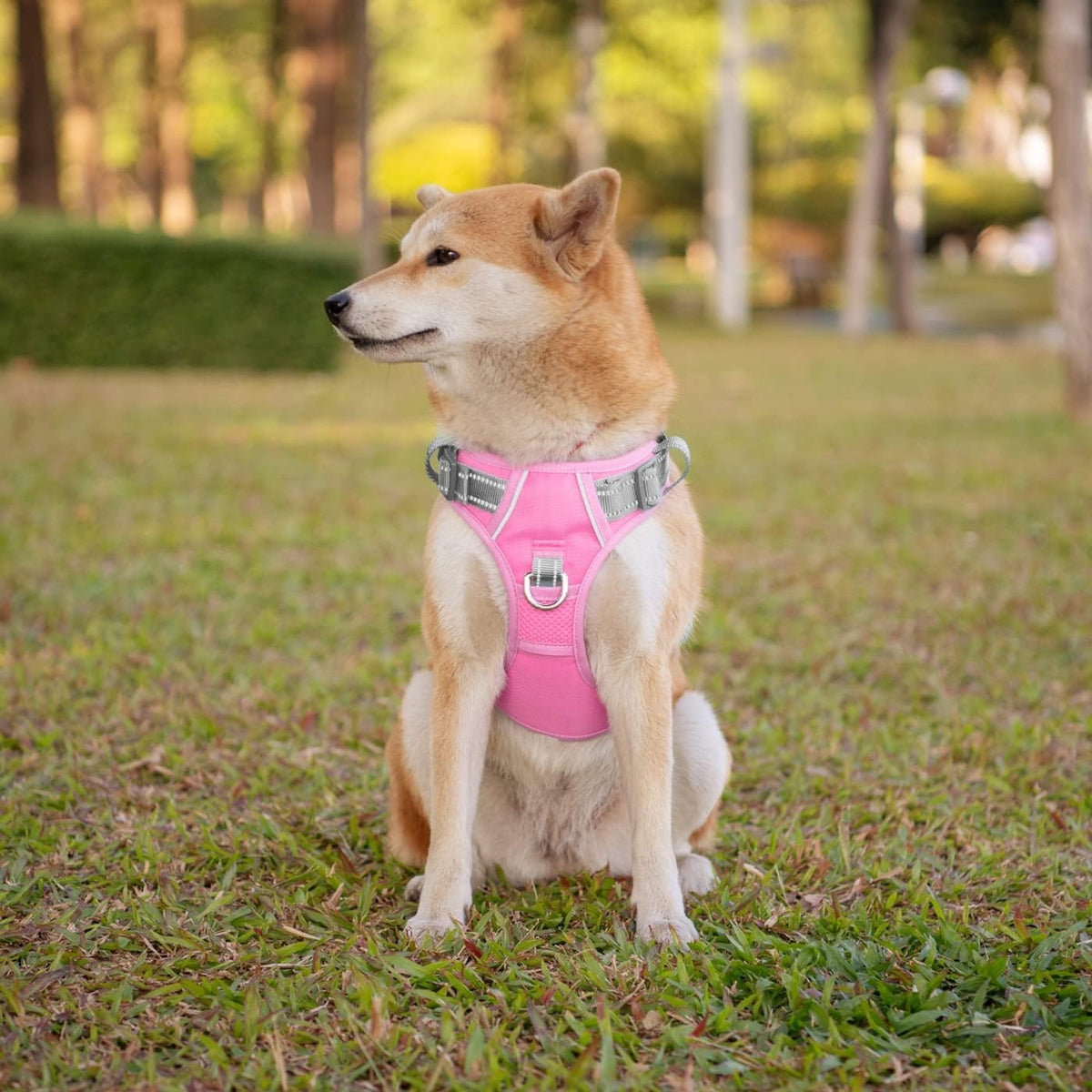 PHOEPET No Pull Dog Harness, Unique Colors Reflective Adjustable Dog Vest, with Soft Training
