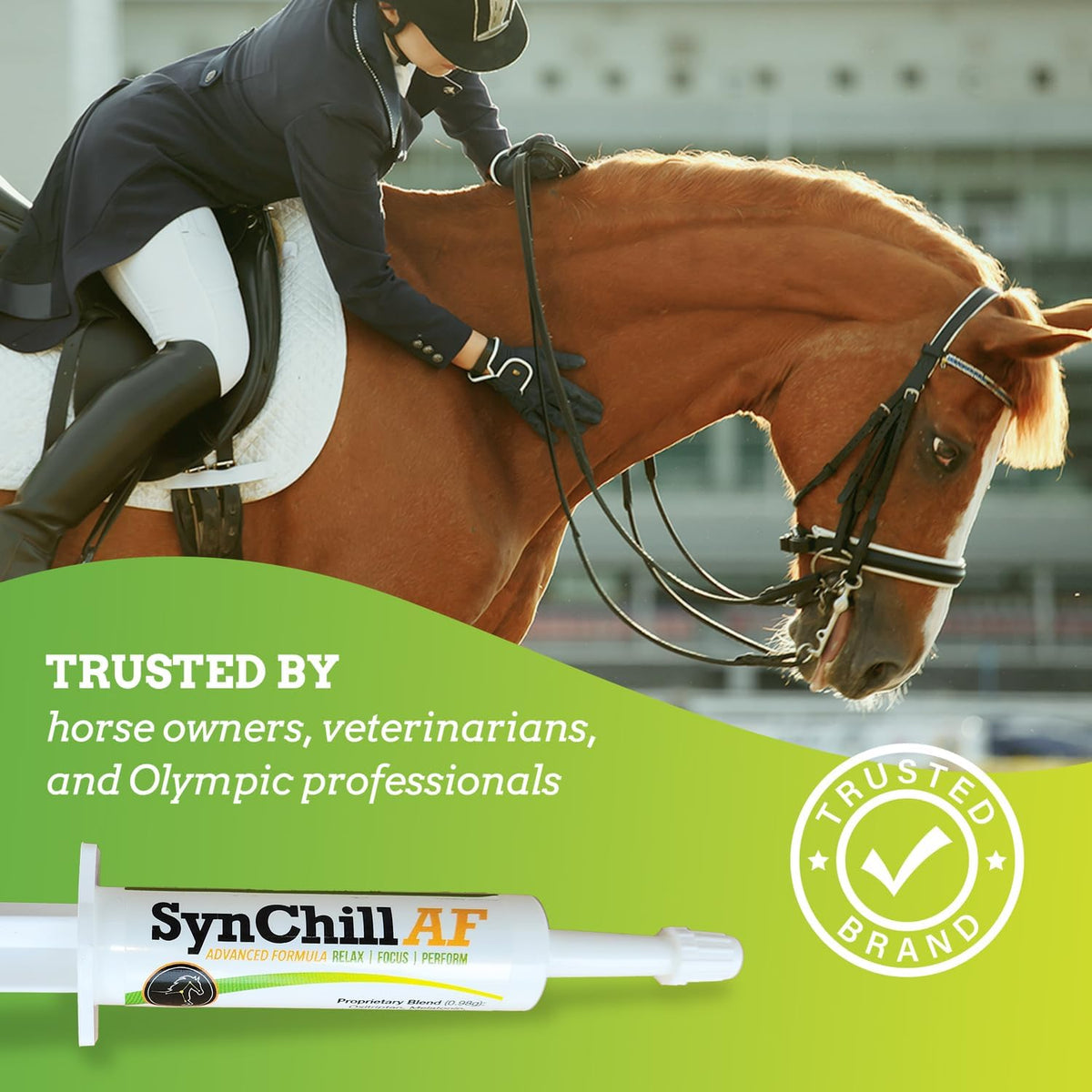 SynChill AF Calming Gel for Nervous Horses - Single Serving - Advanced Formula with L-Theanine