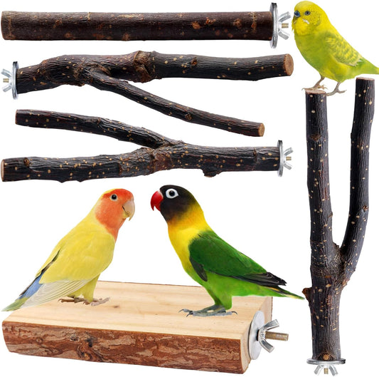 Bird Toys Parakeet Perch Budgie Perch Wood Stand Fork Toys Multi-Branch Perch Platform Toy for