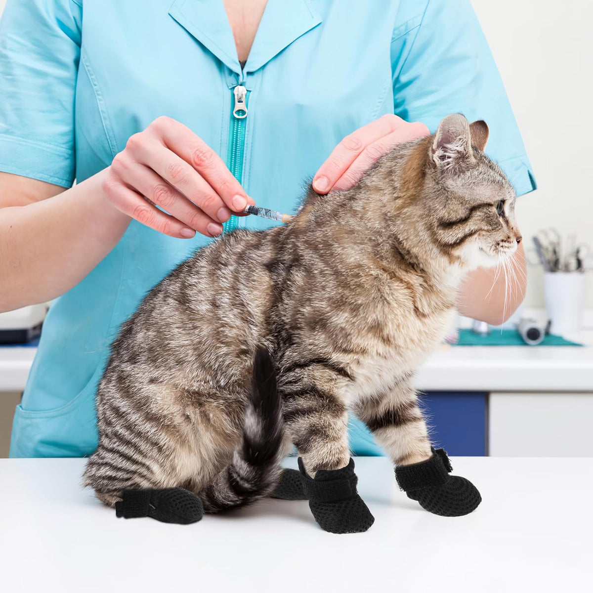 Cat Booties to Prevent Scratching: 4pcs AntiScratch Cat Claw Covers for Feeding Medicine, Pet