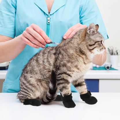 Cat Booties to Prevent Scratching: 4pcs AntiScratch Cat Claw Covers for Feeding Medicine, Pet
