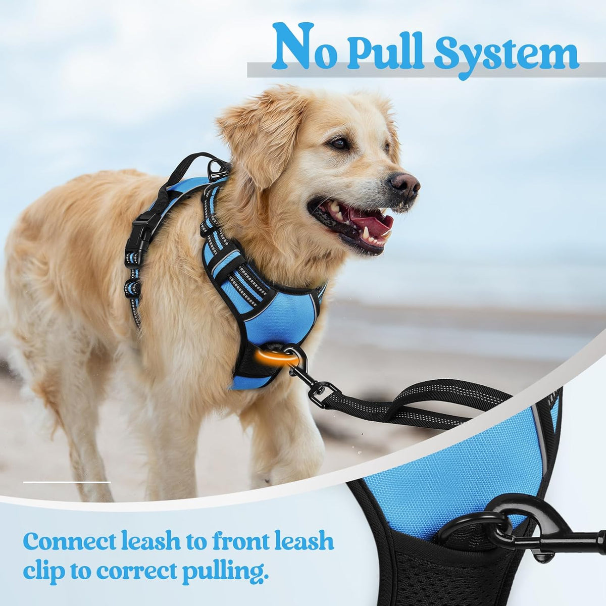 rabbitgoo Dog Harness No Pull with 2 Leash Clips, Adjustable Soft Padded, Reflective Oxford No