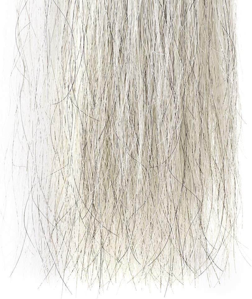 Horse Tail Extensions with Braided Horsehair Loop, Blunt Cut Bottom, 34-36 inches Long and 1 lb