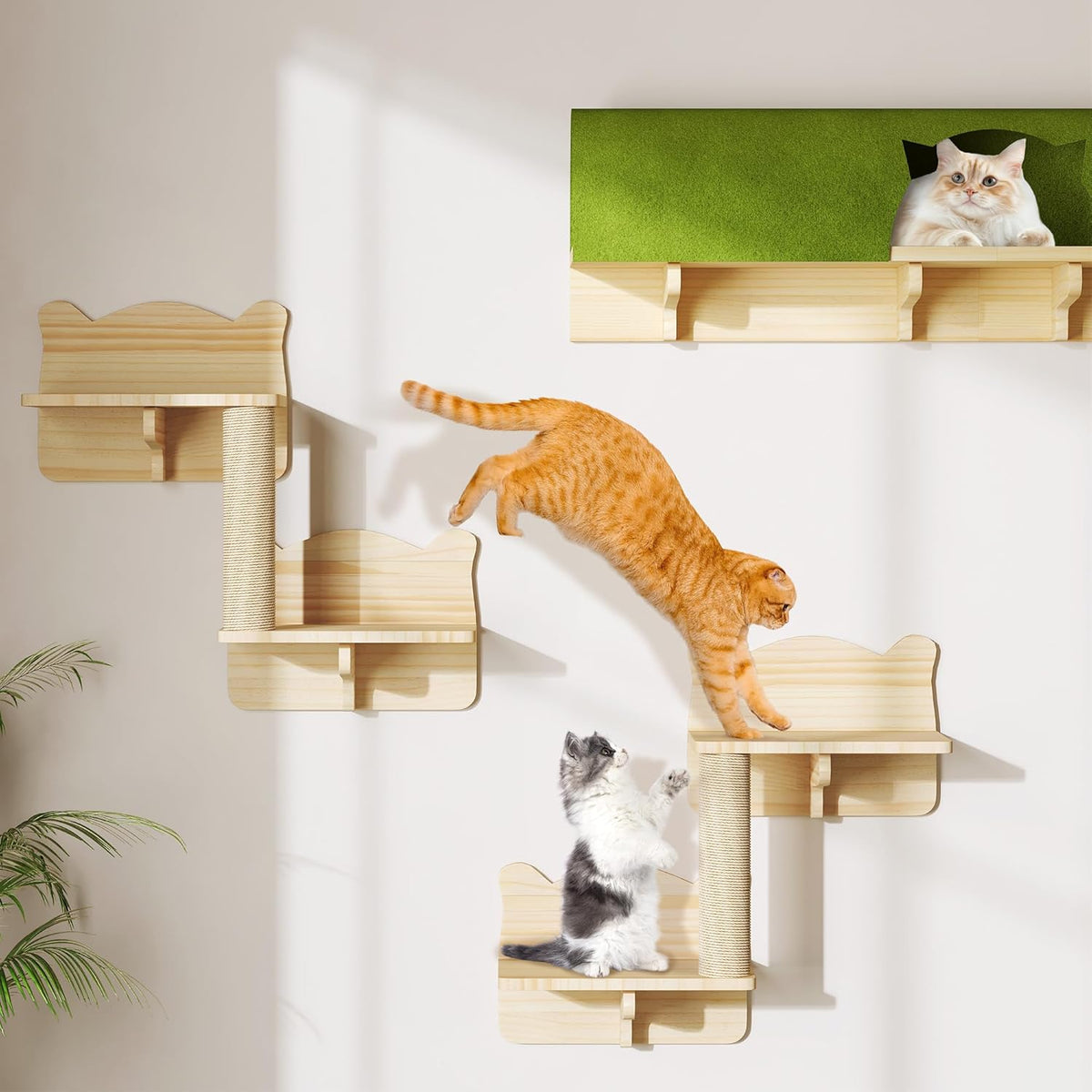 Cat Wall Shelves and Perches, Solid Wood Wall Cat Furniture, Set of 7 Feline Climbing Shelves with