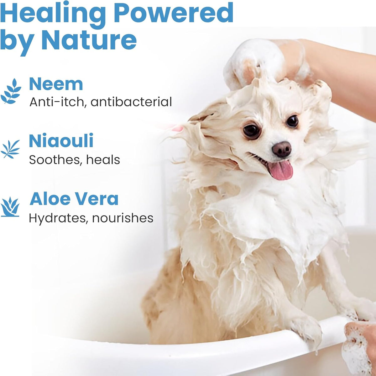 Medicated Organic Dog Shampoo Bar for Hot Spots, Dry Coat, and Allergies, All Natural Dog Shampoo