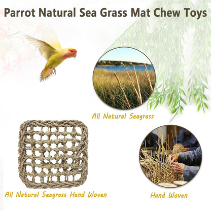 BNOSDM Bird Seagrass Mat, 3 PCS 7.1 x 7.1 Inches Parrot Natural Seagrass Woven Bird Net Hammock