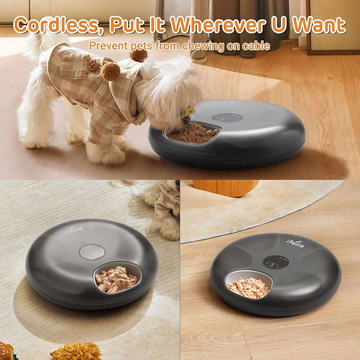 iPettie Donut Frost 6 Meal Cordless Automatic Pet Feeder, Dry & Wet Food Automatic Cat Feeder with