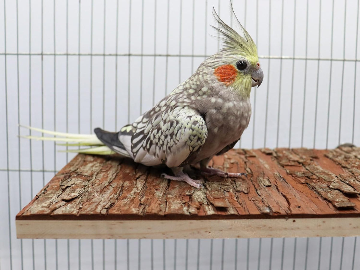 13.6 × 7.9 inch Large Bird Perch Stand Platform, Natural Wooden Small Animals Cage Accessories