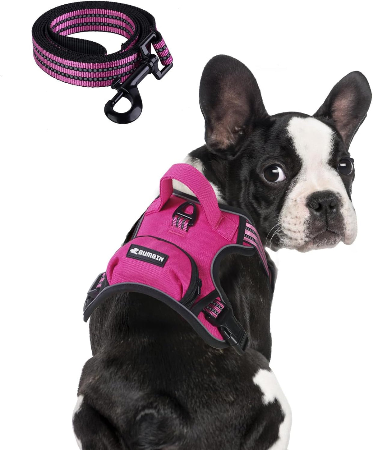 BUMBIN Dog Harness for Large Dogs, No Pull Adjustable No Choke Pet Vest with Dog Leash Fit Smart