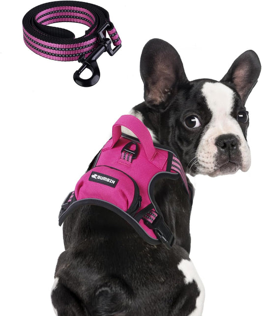 BUMBIN Dog Harness for Large Dogs, No Pull Adjustable No Choke Pet Vest with Dog Leash Fit Smart
