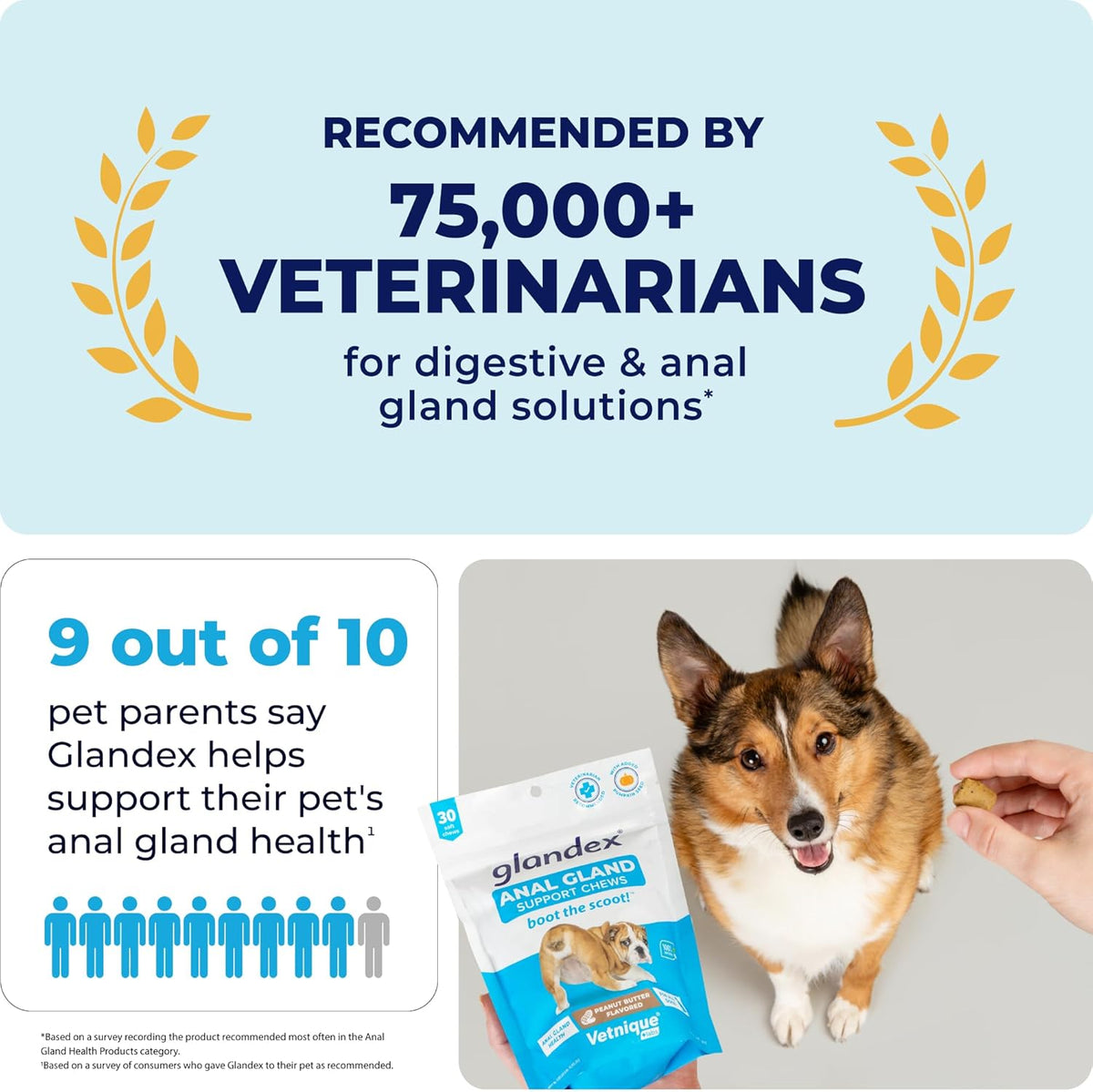 Vetnique Labs Glandex Anal Gland Soft Chew Treats with Pumpkin for Dogs Digestive Enzymes