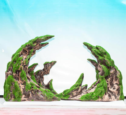 Novelsite Fish Tank Accessories, Aquarium Decorations, Scenery, Rock Ornaments - Create Aquatic