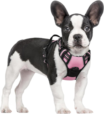 rabbitgoo Dog Harness No Pull with 2 Leash Clips, Adjustable Soft Padded, Reflective Oxford No
