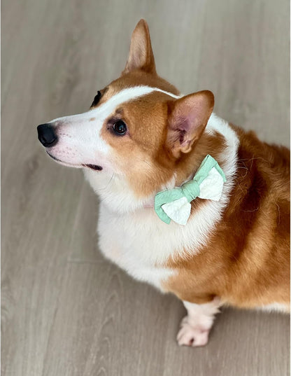 10 PCS Dog Bow Ties, Color Block, Adjustable Pet Bow Tie for Small Medium Large Dog Cat, Collar