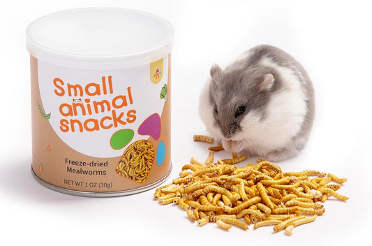 Niteangel Small Animal Snack & Treats Toy - Small Critter Natural Treat for Dwarf Syrian Robo