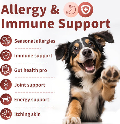 Dog Allergy Chews, Probiotics for Dog Allergy Relief - Itchy Skin and Itchy Ears - Allergy Paw