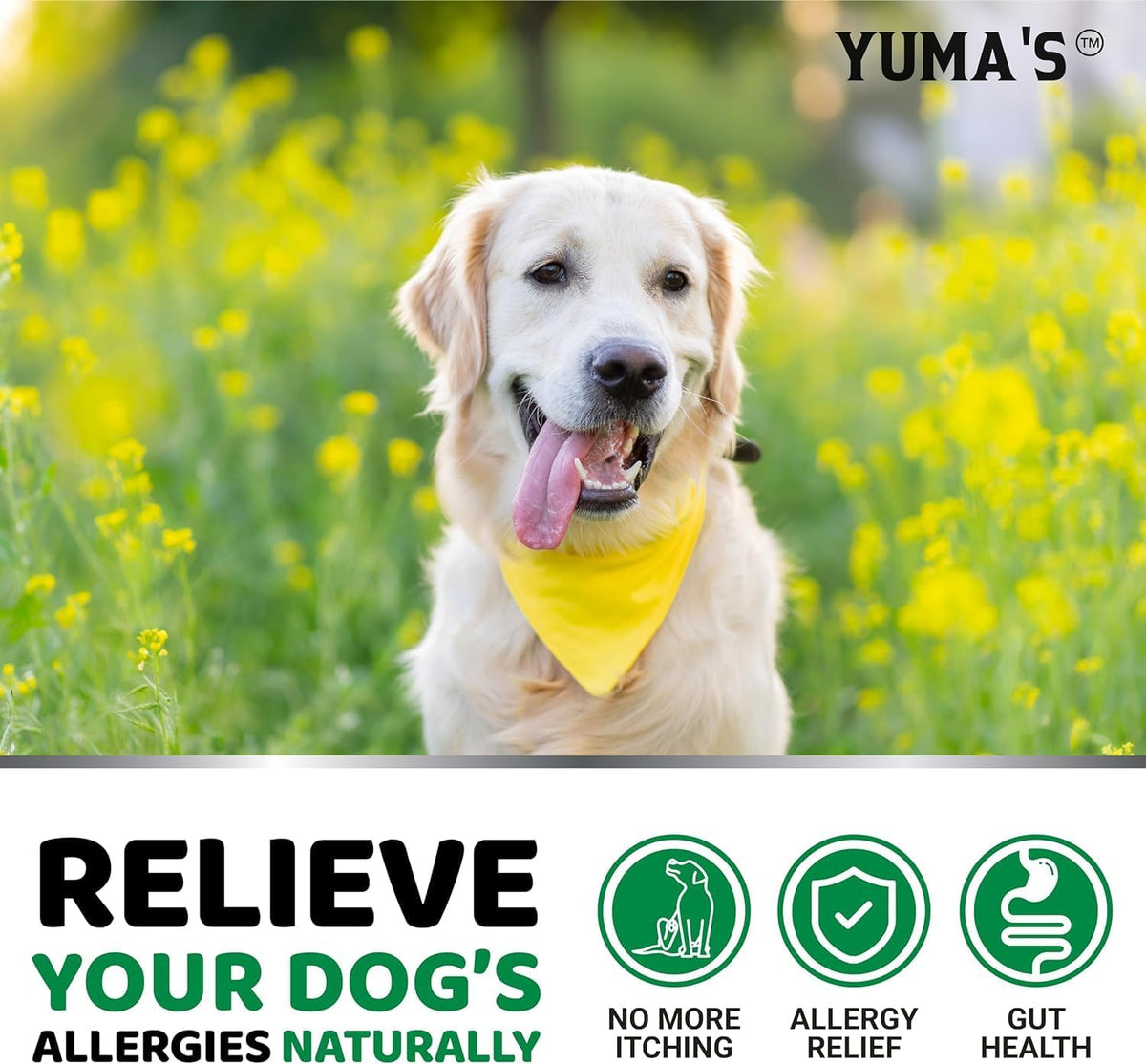 2-Pack Dog Allergy Relief Chews - Dog Itching Skin Relief Treatment Pills - Anti-Itch Chewables