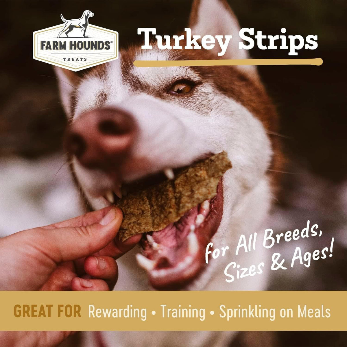 Farm Hounds - Turkey Strips - Premium Natural Jerky for Dogs - from 100% Humanely Raised Turkey