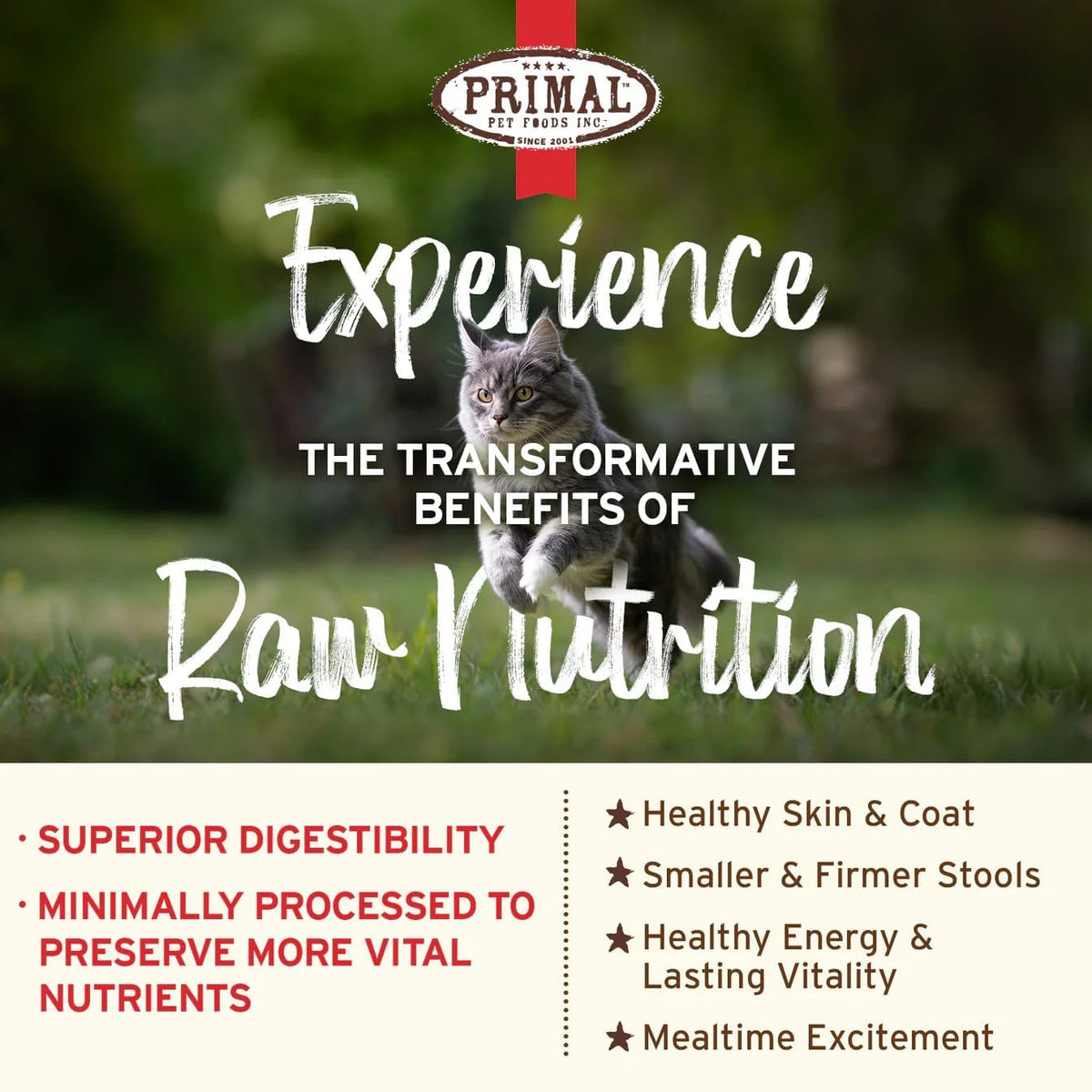 Primal Kibble in The Raw, Freeze Dried Cat Food, Beef, Scoop & Serve, Made with Raw Protein, Whole