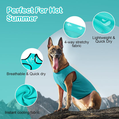 2 Pack Cooling Shirts for Dogs, Lightweight Mesh Breathable Dog Clothes for Large Dogs Boy