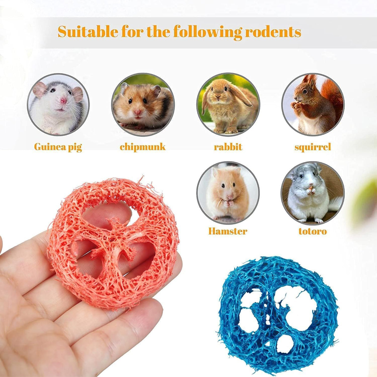 15 Pcs Fruit Flavored Loofah Slices Rabbit Chew Toys Guinea Pig Chew Toys Small Pet Chews Bunny