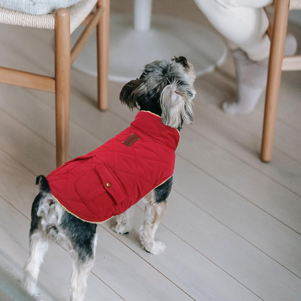 Queenmore Warm Dog Coat, Cold Weather Puffer Jacket with Ultra Thick Plush Lining and Storage