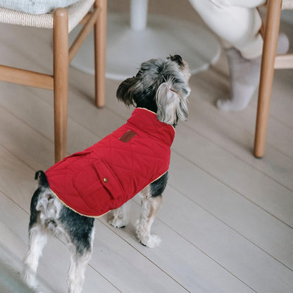 Queenmore Warm Dog Coat, Cold Weather Puffer Jacket with Ultra Thick Plush Lining and Storage