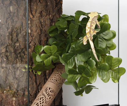 Reptile Plants for Terrarium, Amphibian Habitat Decor Artificial Hanging Plants with Suction Cup