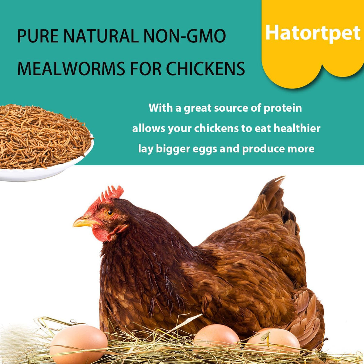 Dried Mealworms 5LB Pure Natural Non-GMO Mealworms for Chickens High Protein Chickens Feed Meal