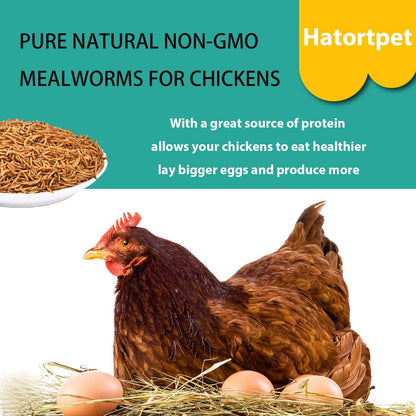 Dried Mealworms 5LB Pure Natural Non-GMO Mealworms for Chickens High Protein Chickens Feed Meal
