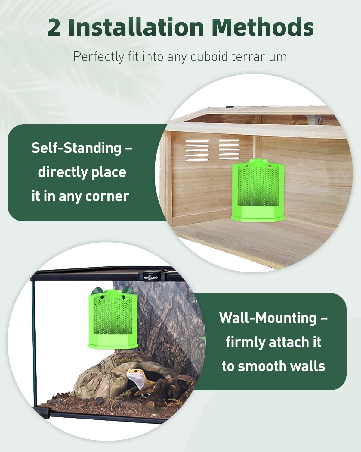 Pawfly Bearded Dragon Feeder - Escape-Proof Corner Reptile Food Box, Wall-Mounted with Suction Cups