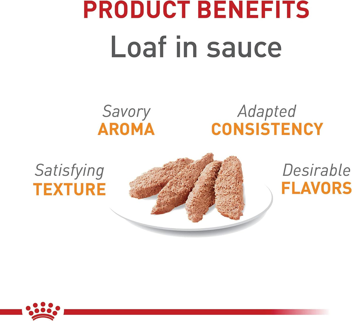 Royal Canin Feline Care Nutrition Hair & Skin Care Loaf in Sauce Canned Cat Food, 5.1 oz can