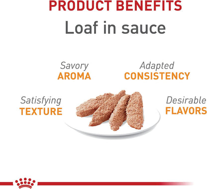 Royal Canin Feline Care Nutrition Hair & Skin Care Loaf in Sauce Canned Cat Food, 5.1 oz can