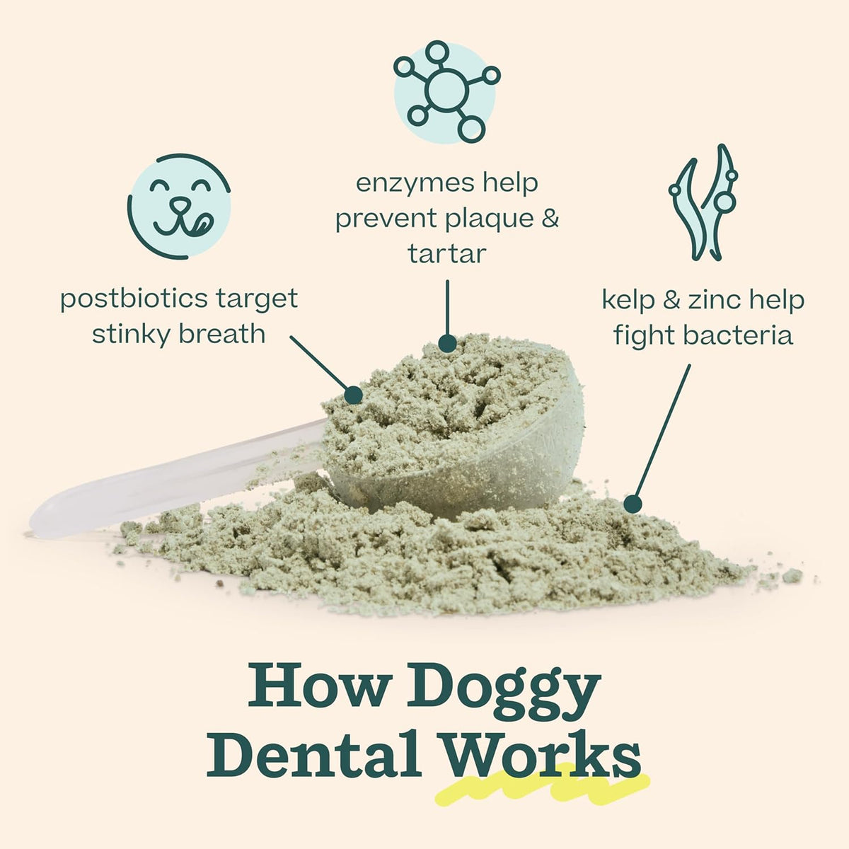 WOOF Dental Kit- Includes Pupsicle Dog Toy, Treat Tray, Shaker Bottle, Chicken Pupsicle Pops, and
